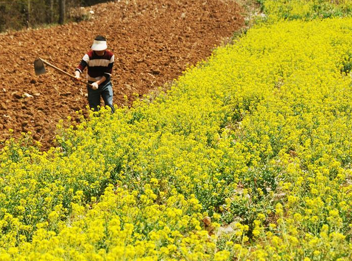 Spring Equinox marked around Guizhou