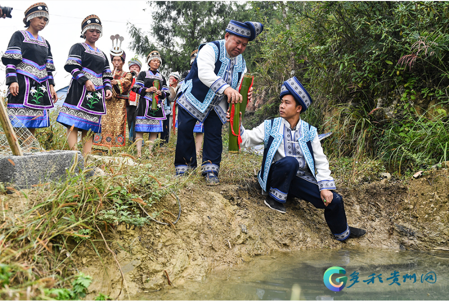 A look at Guizhou traditional baijiu-making skills