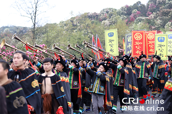 Guizhou Baili Azalea Festival begins