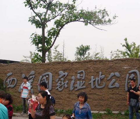 Xixi Wetland Park to Build Two Causeways & One Park