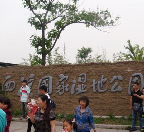 Hangzhou's Xixi Wetland Park attracts travelers