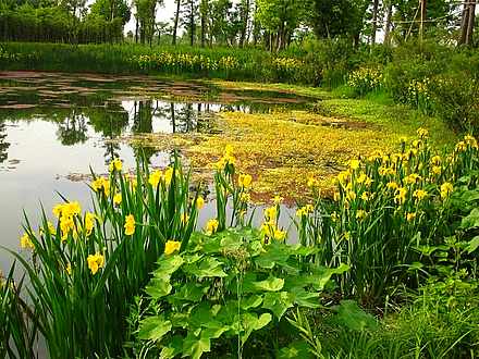Hangzhou's Xixi Wetland Park attracts travelers