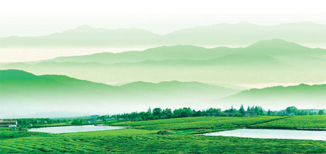Changxing seeks to become model eco-friendly county