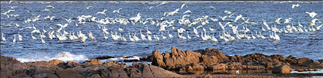 Legends and leisure mix in Qinhuangdao