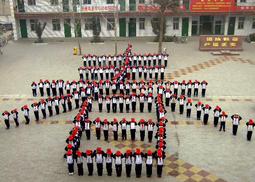 Calligraphy works in celebration of Spring Festival