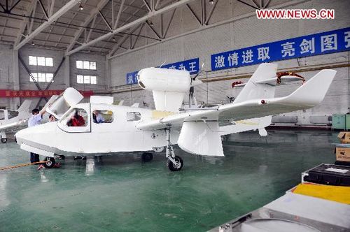 China's Seagull 300 goes through test flight