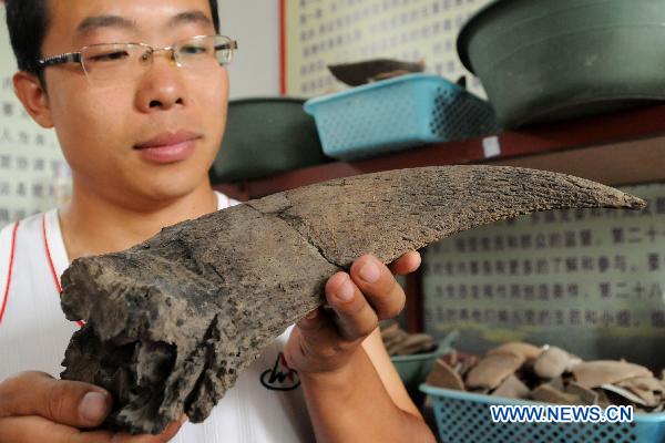 Abundant cultural relics unearthed from Yangshao site in Hebei