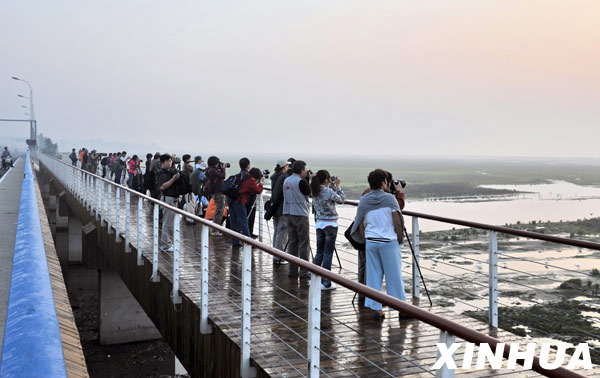 Wetlands, home to migrant birds