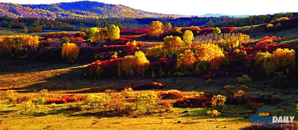 Colorful autumn view of Saihanba prairie