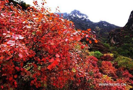 Late autumn landscape of Taihang Mountains