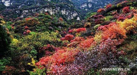 Late autumn landscape of Taihang Mountains