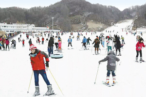 Nanyang's three ski resorts start business on same day