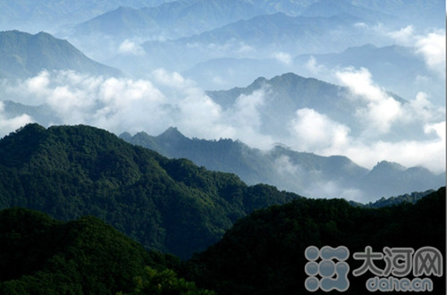 Nanyang reserve granted Forest Oxygen Bar distinction