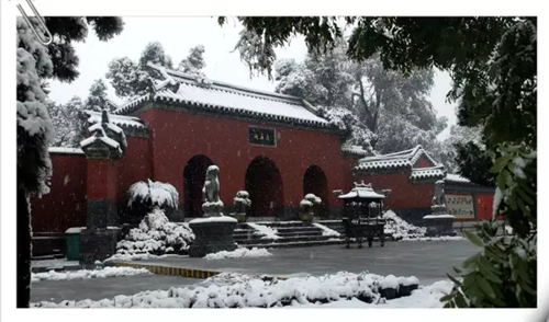 Nanyang proves popular with visitors over New Year holiday