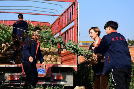Online trading website helps rose industry in Nanyang