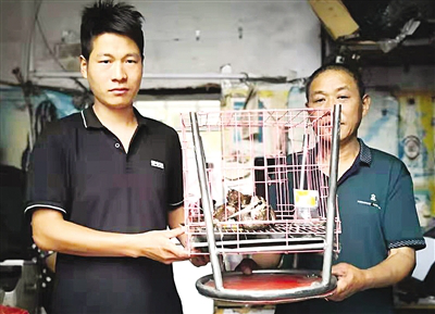 Nanyang rescues migratory bird