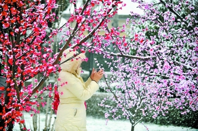 Pingdingshan: drought-affected area reduced