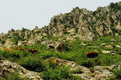 Dahongzhai Scenic Area