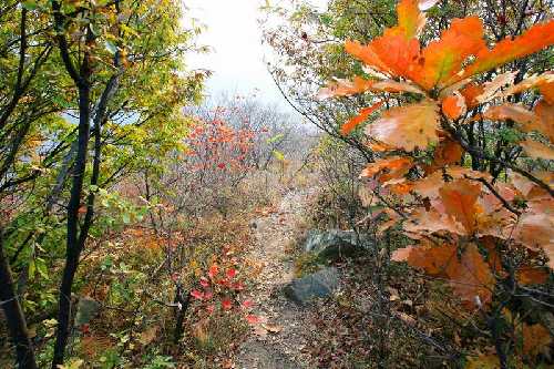 Dahongzhai Scenic Area