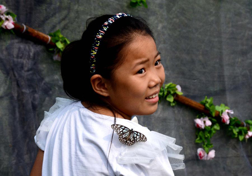 Beautiful butterflies presented in China's Kaifeng