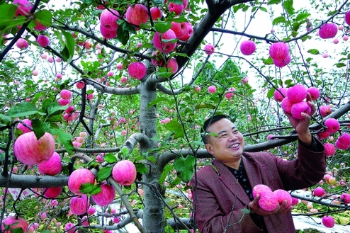 Fruitful season