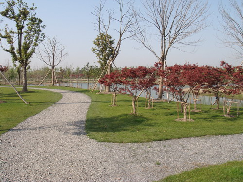 The Ecological Park in Huaqiao International Service Business Park