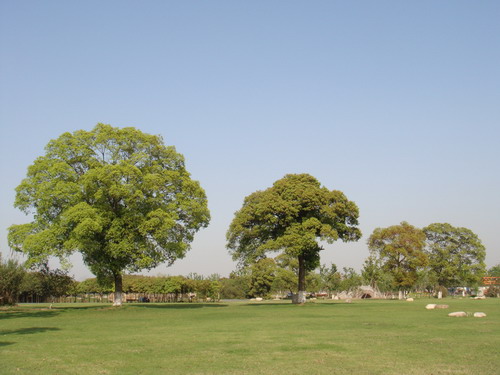 The Ecological Park in Huaqiao International Service Business Park