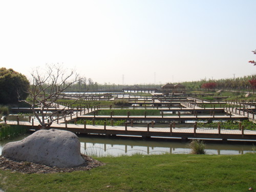 The Ecological Park in Huaqiao International Service Business Park