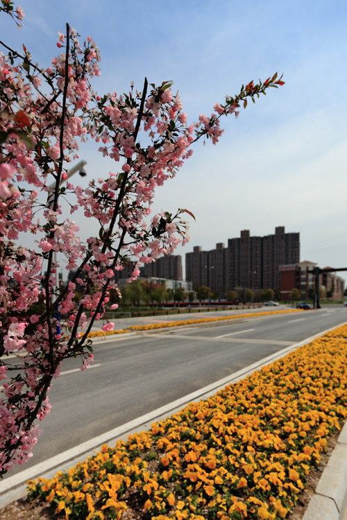 Regional Headquarters Park