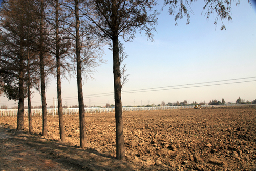 Huaqiao in late Autumn