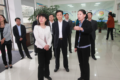 Jiangning inspection team visits Huaqiao