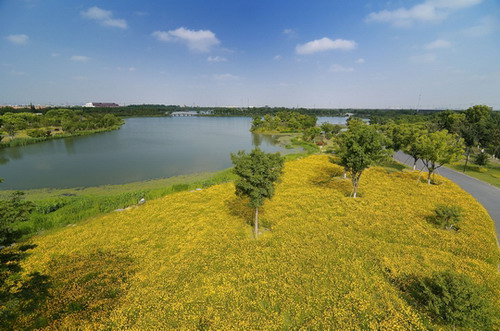 Tianfu to bid for national wetland park