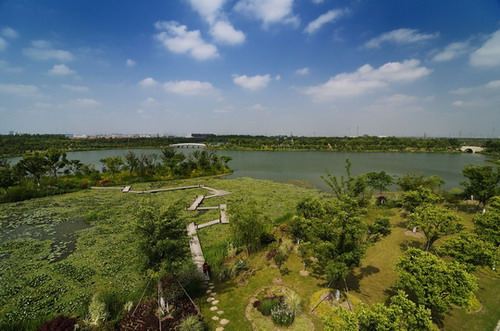 Tianfu to bid for national wetland park