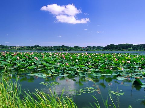 Honghu Lake