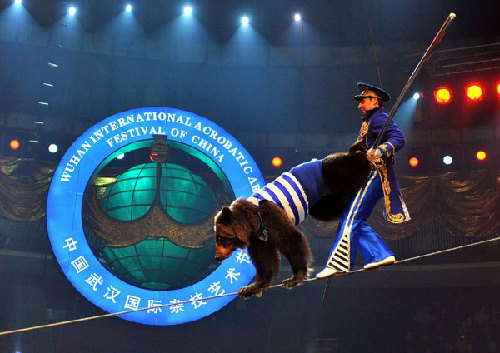 Art festival in Wuhan highlights acrobatics