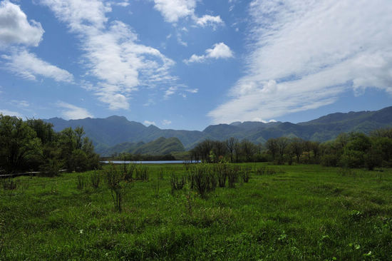 Fantastic view of Dajiuhu Lake Wetland Park