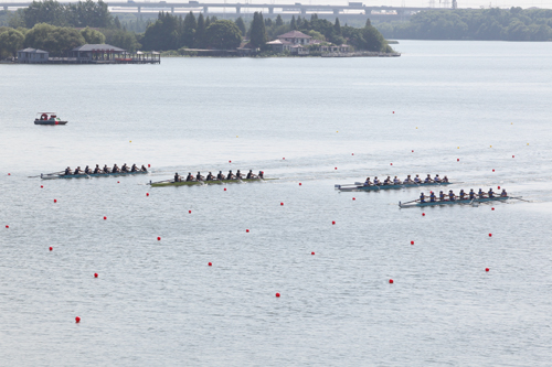 Overseas students compete in rowing regatta