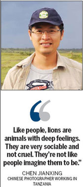 China's lion king