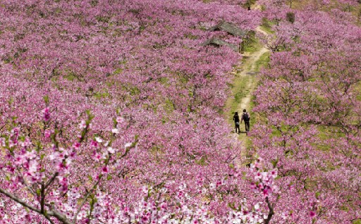 Dawei Mountain Forest Park in Liuyang county