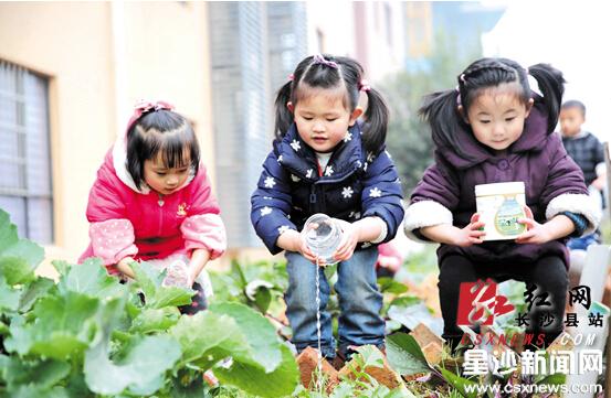 Green school models in Changsha county