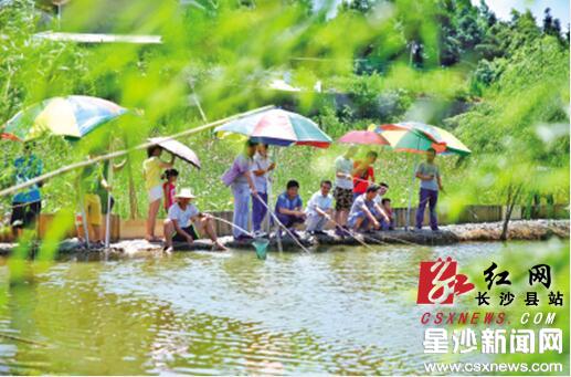 Crayfish festival opens in Huanghua town