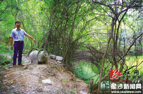 Forgotten histories; the rediscovery of a Changsha county temple