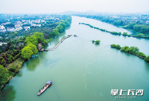 Second Cherry Culture and Tourism Festival opens in Jiangbei
