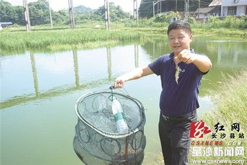 Sustainable agriculture brings win-win development in Changsha