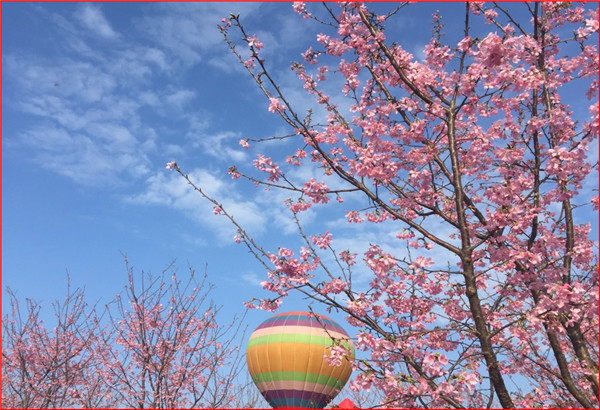 Spring Festival activities staged in Changsha