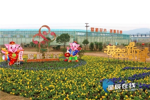 Changsha's Spring Festival flower fair opens
