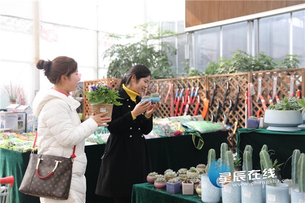 Changsha's Spring Festival flower fair opens