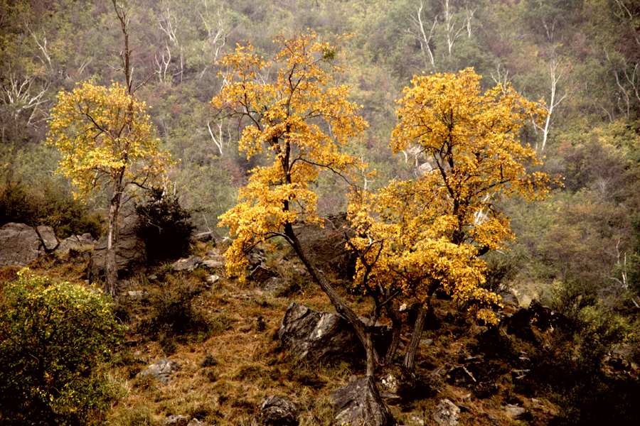 Shimen Scenic Spot