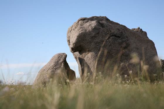 Grassland rock painting