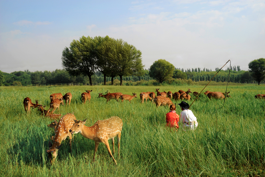 Saihantala Ecological Park